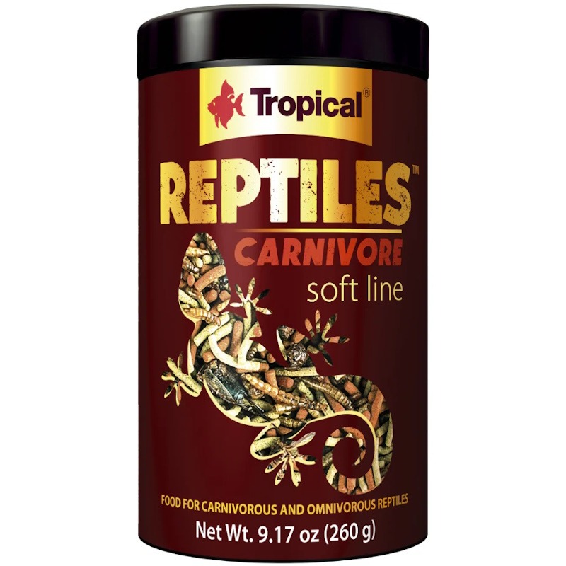 Tropical – Reptile Carnivore - Bild 2
