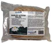 Barley Straw Bales 2 pack