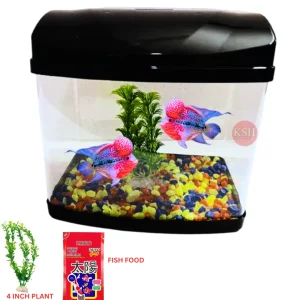 Big Mini Aquarium Fish Tank with 4inch Plant, Fish Food 50G