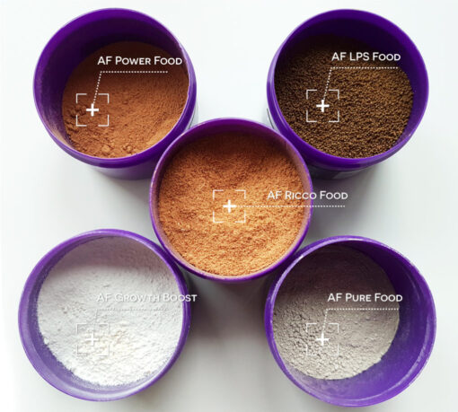 AF LPS Food 30g - Bild 3