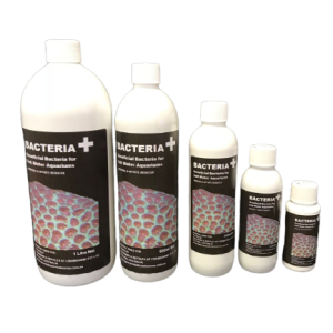 Bacteria + (Beneficial Bacteria for Saltwater Marine Aquariums)