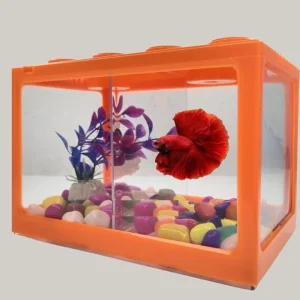 Double Betta Mini Fish Aquarium Building Block Tank, 2.25 Litres Capacity.LARGE.FREE FOOD and PLANT