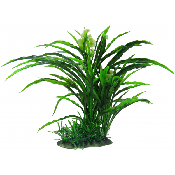 Amazon Jungle – Flowering Spinifex Tree - Bild 2