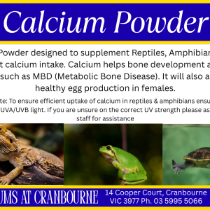 Calcium Powder for Reptile Lizard Snake Turtle Amphibian Bird