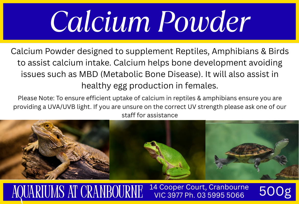 Calcium Powder for Reptile Lizard Snake Turtle Amphibian Bird - Bild 2