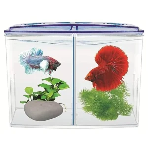 Double House Betta TRANSPERANT DOPHINE  Fish Tank