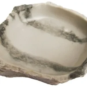 Reptile Lizard Food or Water Dish/Bowl 2 Sizes