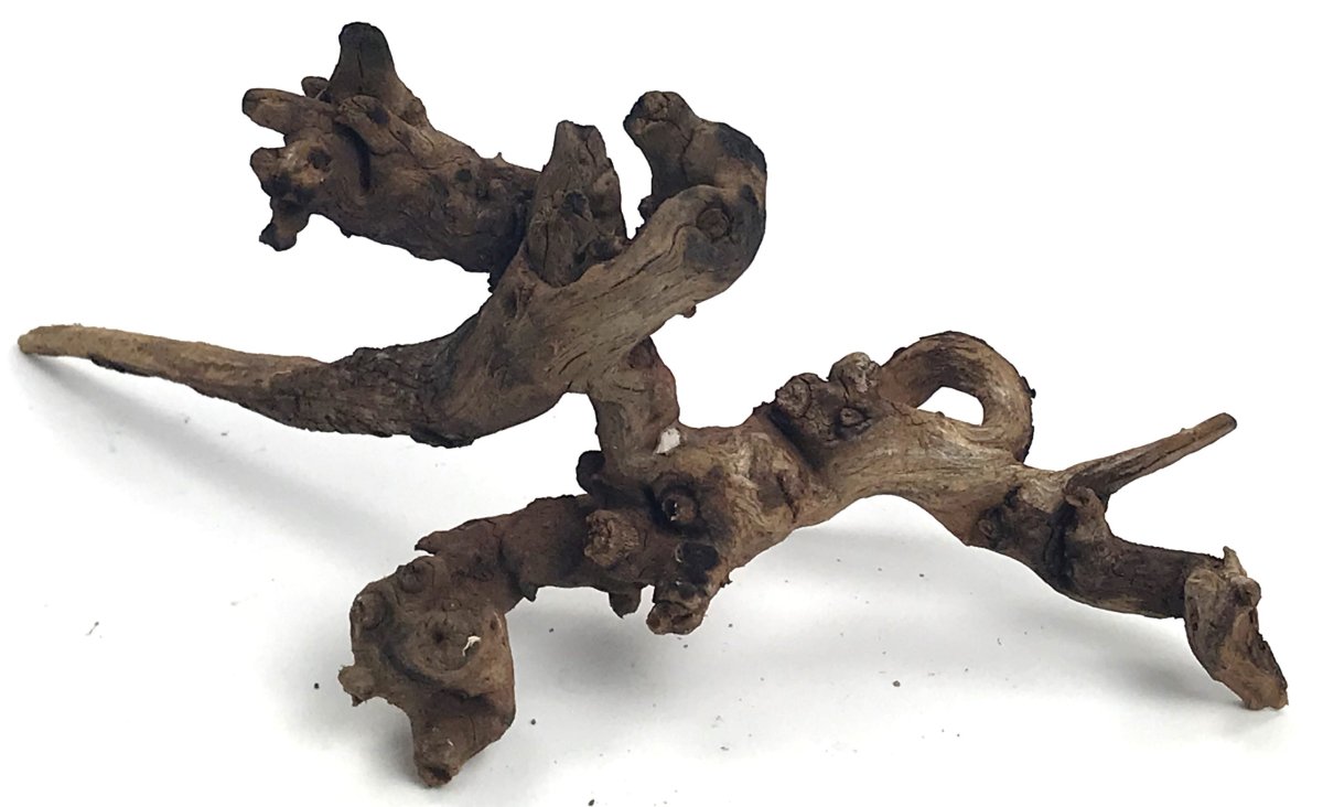 Black Forest Driftwood 11-13″ - Bild 3