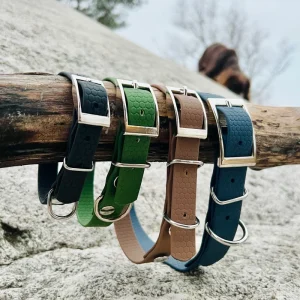 Saga klassiskt hundhalsband