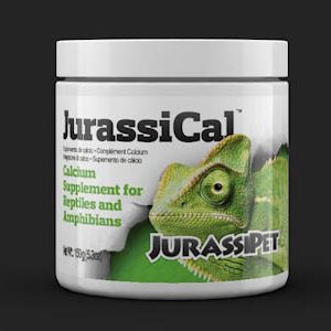 Jurassipet – JurassiCal