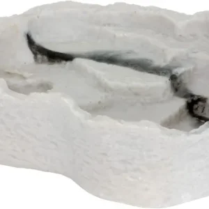 Reptile Lizard Food or Water Dish/Bowl