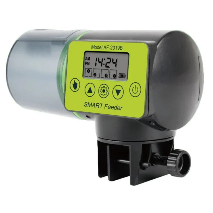 Aqua blue auto feeder