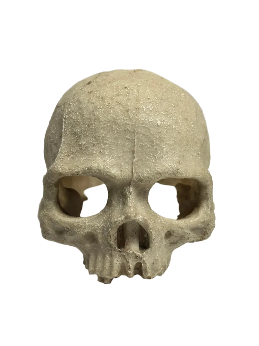 Skull decoration