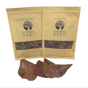 Golden Tree – Almond Leaves