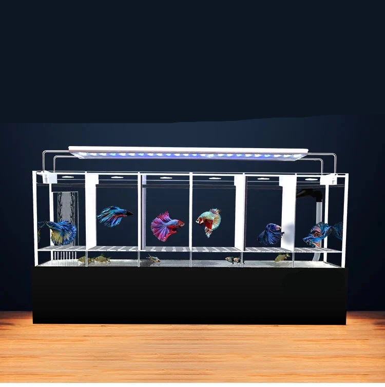 Betta Fish Multiple Tanks With Filtration - Bild 2