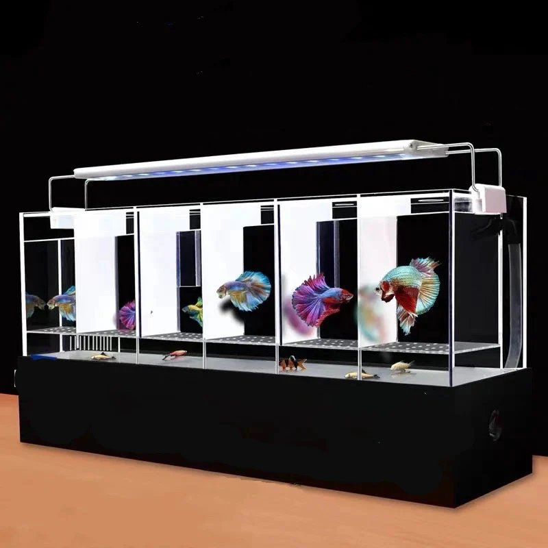 Betta Fish Multiple Tanks With Filtration - Bild 3