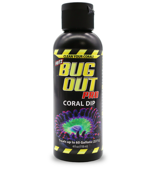 Fritz Bug Out Coral Dip