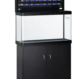 AJA D-Model 80