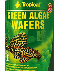 Tropical – Green Algae Wafers