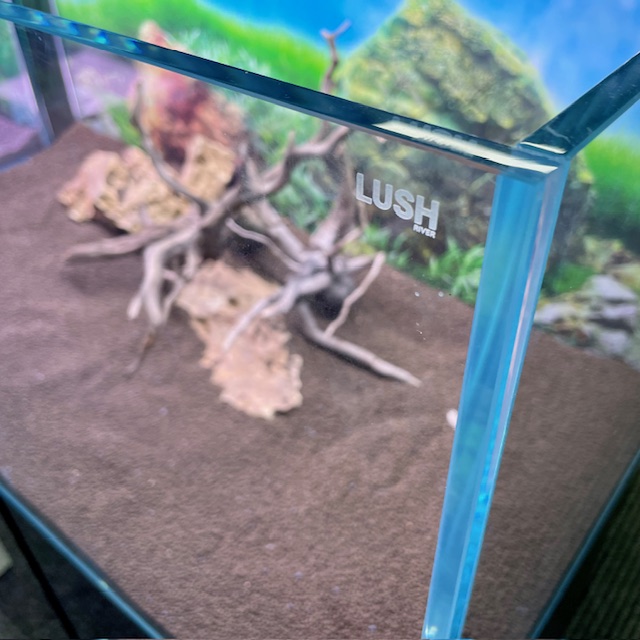 Lush River – Aquascaper 60 - Bild 4