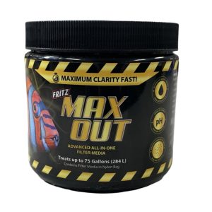 Fritz Max Out