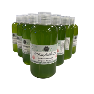 Live Phytoplankton 250ml