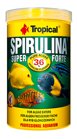 Tropical – Spirulina Super Forte-Flake